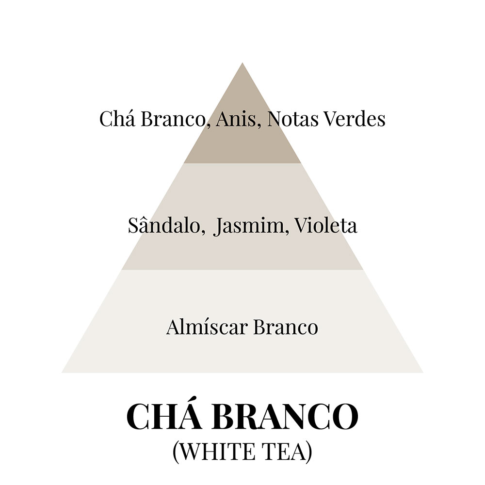 Piramides olfativas PT White Tea