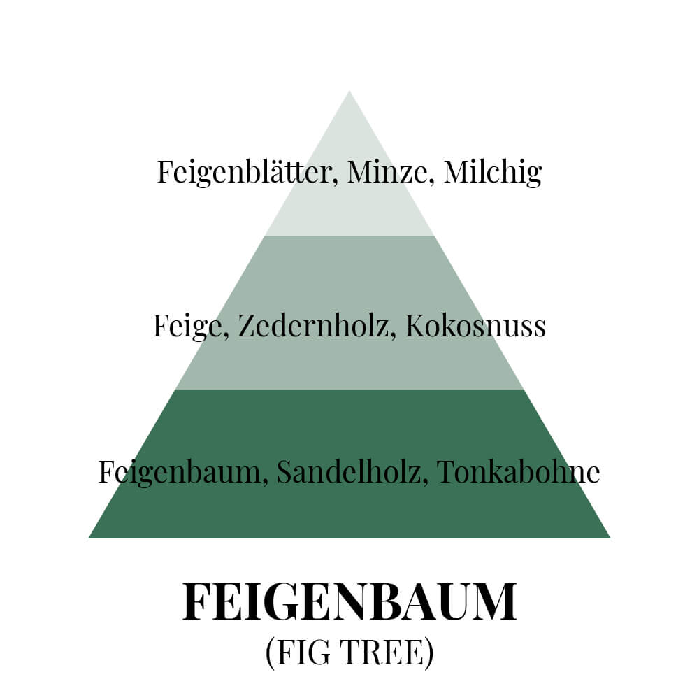 Feigenbaum