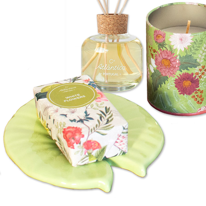 imagem topo3 daylightsaving